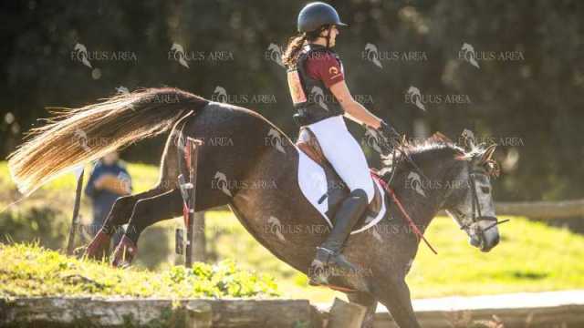 TREC02-06082024-338