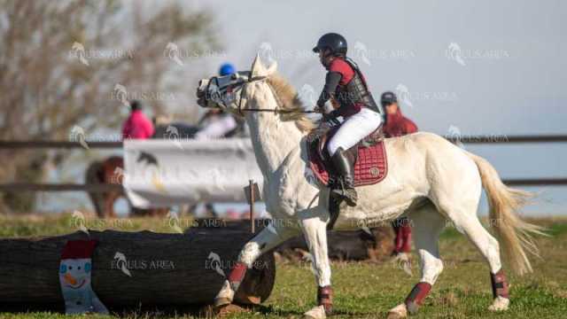 TREC02-06082024-339