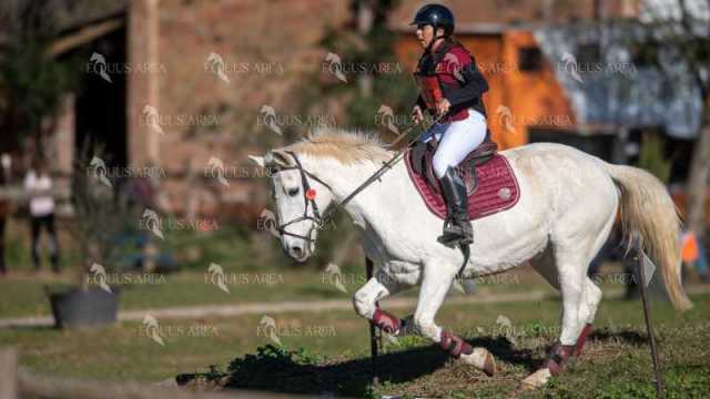 TREC02-06082024-340