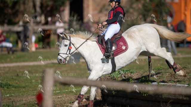 TREC02-06082024-341