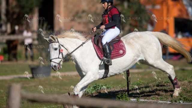 TREC02-06082024-342
