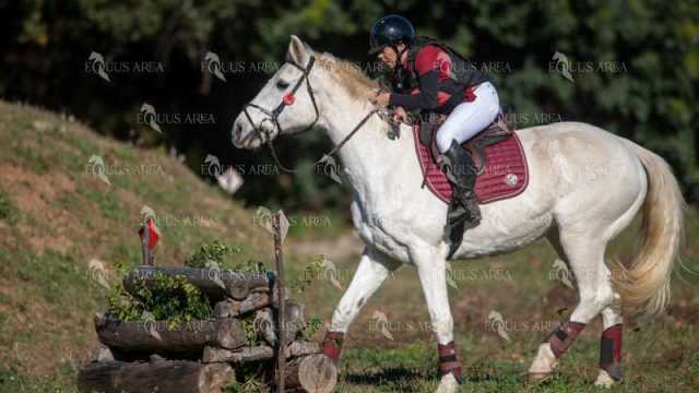 TREC02-06082024-343