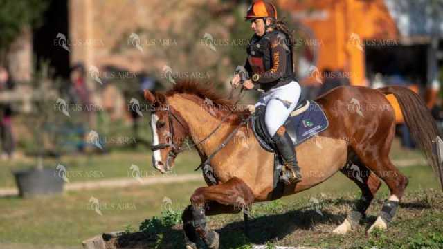 TREC02-06082024-346