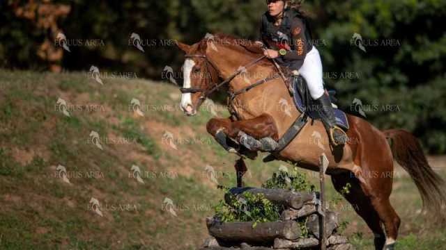 TREC02-06082024-347