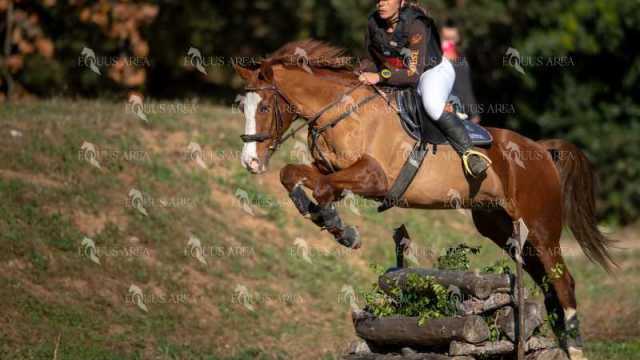 TREC02-06082024-348