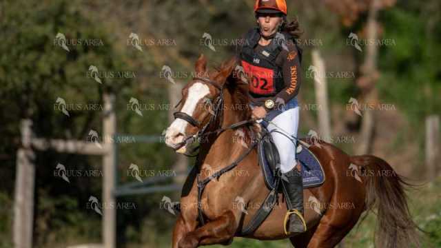 TREC02-06082024-349