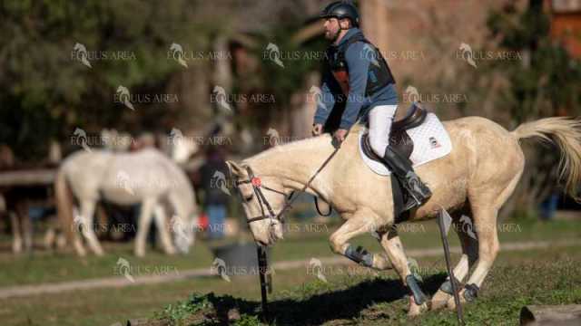 TREC02-06082024-351
