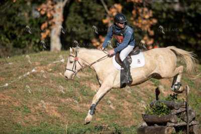 TREC02-06082024-355