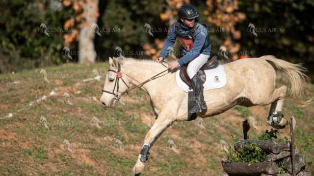TREC02-06082024-355