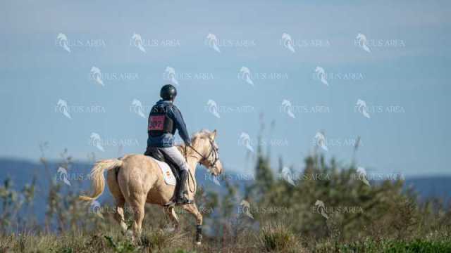TREC02-06082024-357