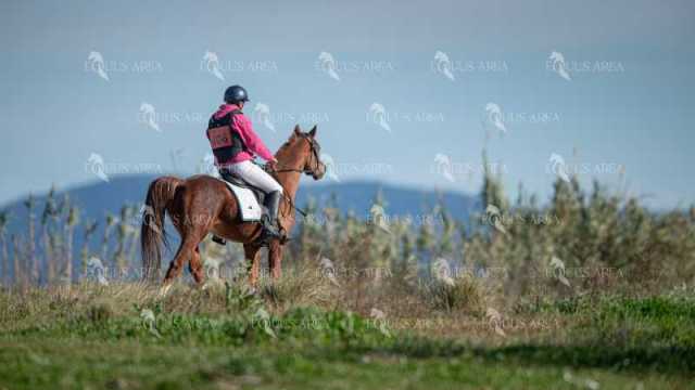 TREC02-06082024-360