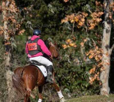 TREC02-06082024-362