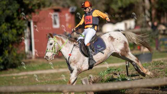 TREC02-06082024-367