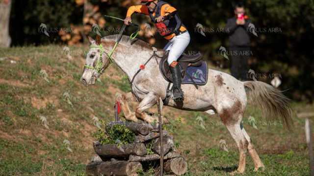 TREC02-06082024-369