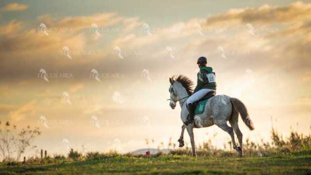 TREC02-06082024-37