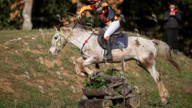 TREC02-06082024-370