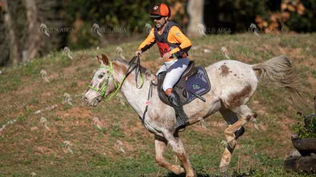TREC02-06082024-371