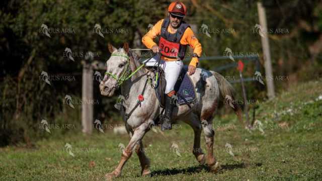 TREC02-06082024-372