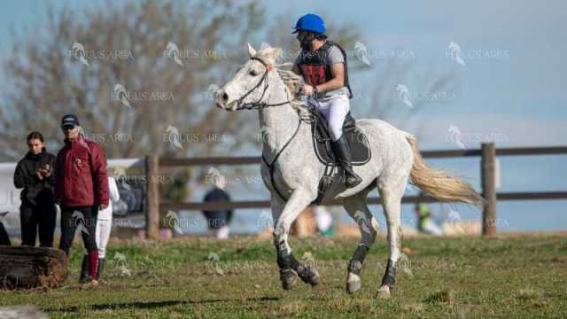 TREC02-06082024-374