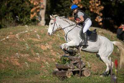 TREC02-06082024-376