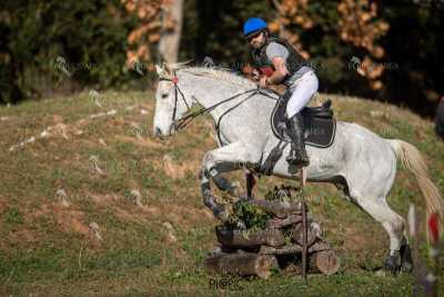 TREC02-06082024-377