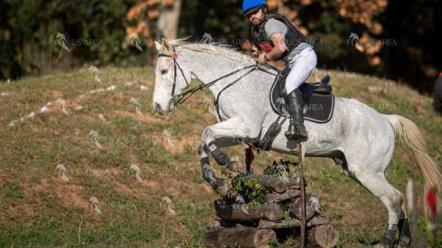 TREC02-06082024-377
