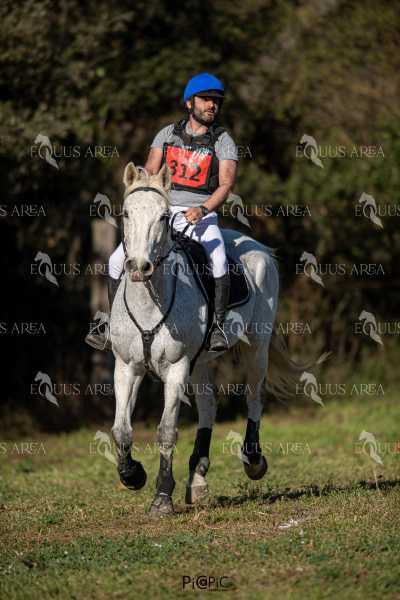 TREC02-06082024-378