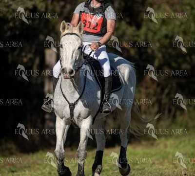 TREC02-06082024-378