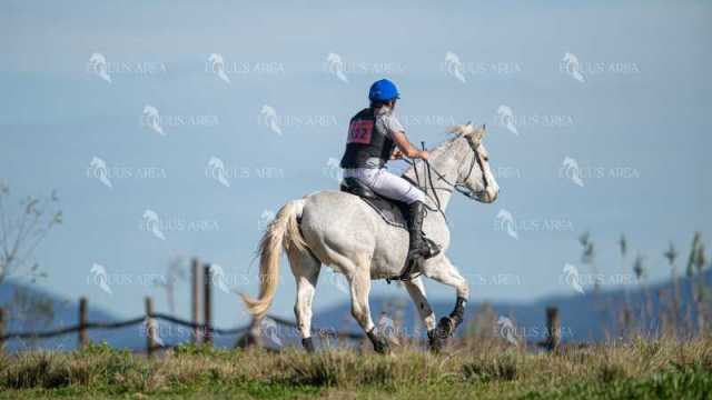 TREC02-06082024-379