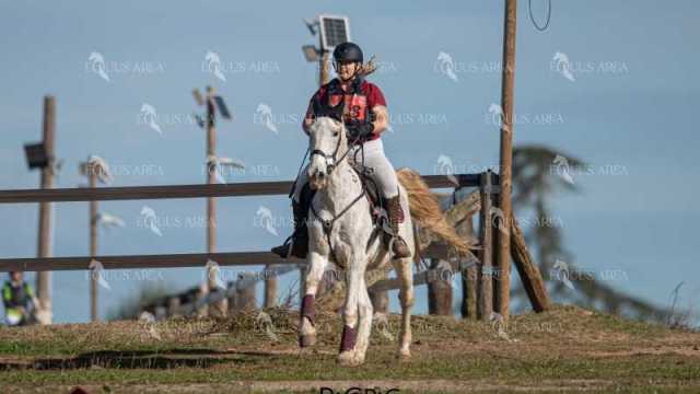 TREC02-06082024-380