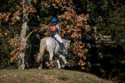 TREC02-06082024-381