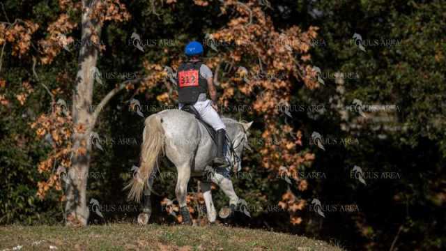 TREC02-06082024-381