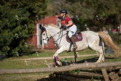 TREC02-06082024-384