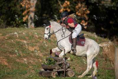TREC02-06082024-385