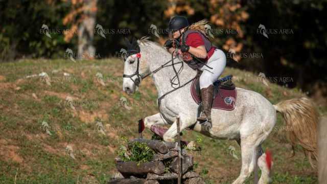 TREC02-06082024-385
