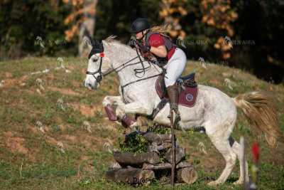 TREC02-06082024-386