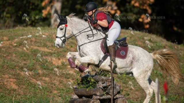 TREC02-06082024-386