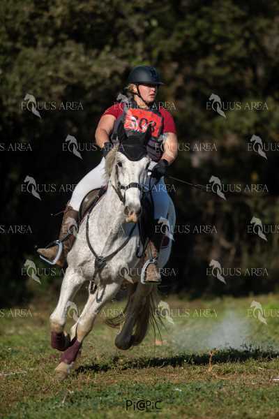 TREC02-06082024-387