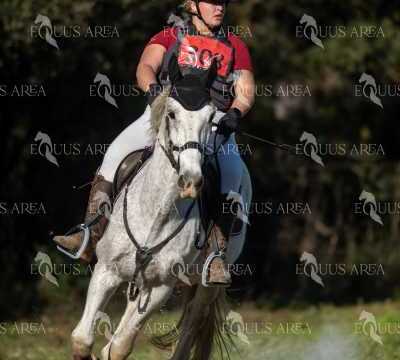 TREC02-06082024-387