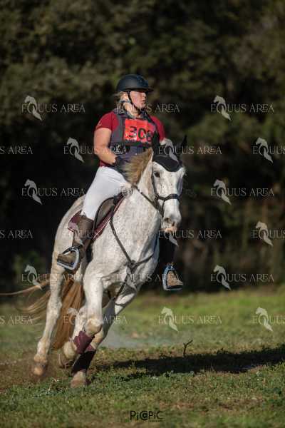 TREC02-06082024-388