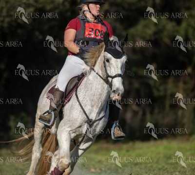 TREC02-06082024-388