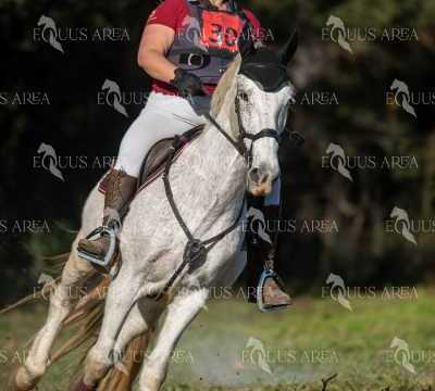 TREC02-06082024-389