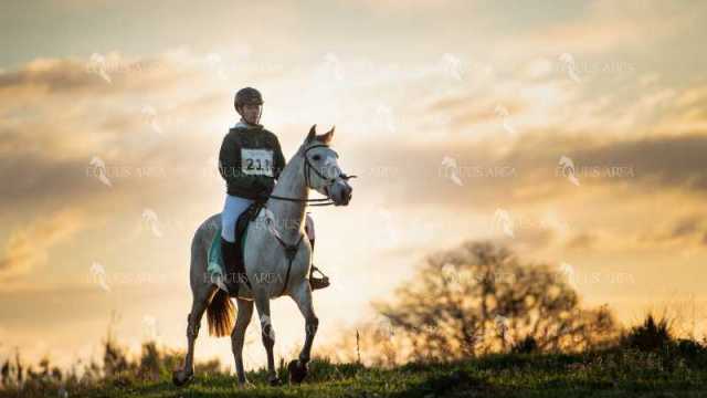 TREC02-06082024-39