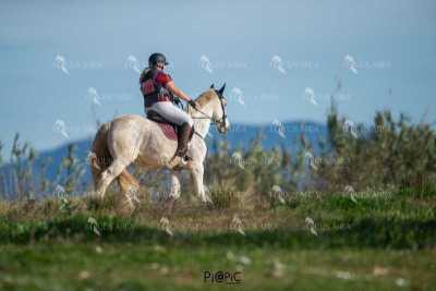 TREC02-06082024-390
