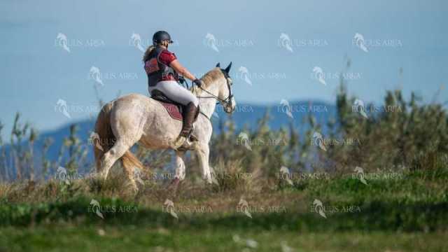 TREC02-06082024-390