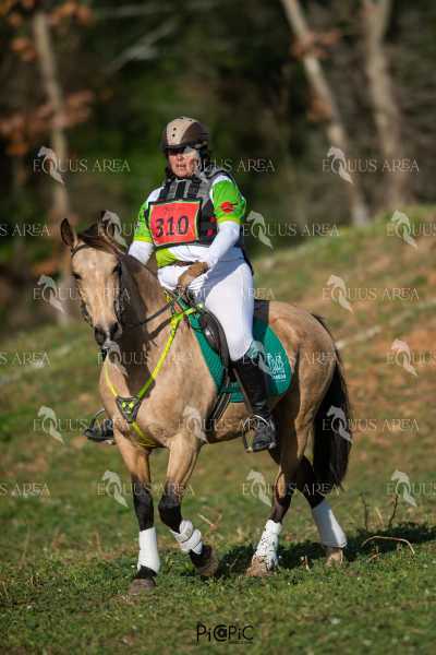 TREC02-06082024-391
