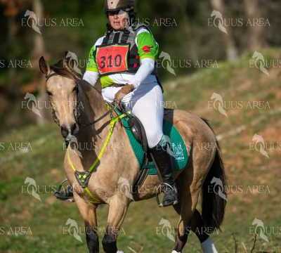 TREC02-06082024-391