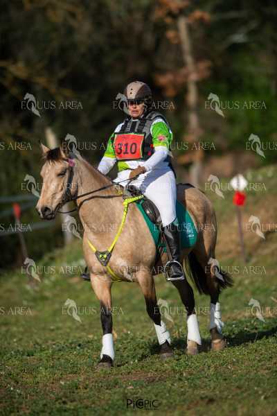TREC02-06082024-392