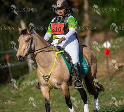 TREC02-06082024-392