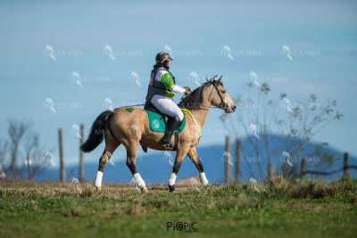 TREC02-06082024-393
